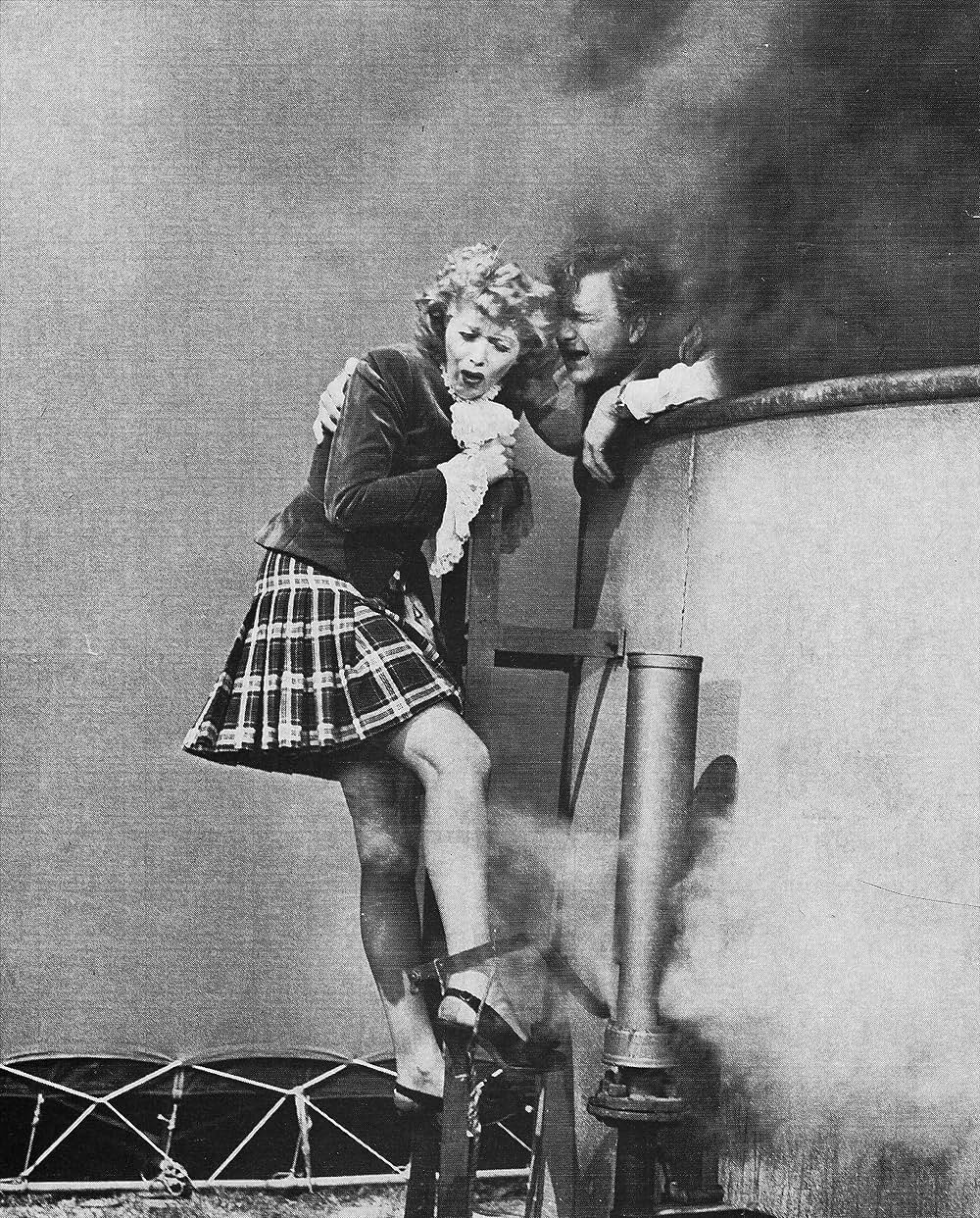 The Fuller Brush Girl（原題）の写真