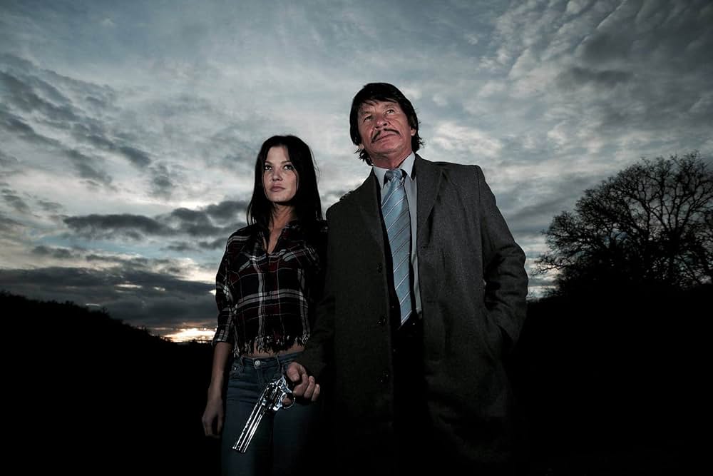 野獣処刑人ザ・ブロンソンの画像