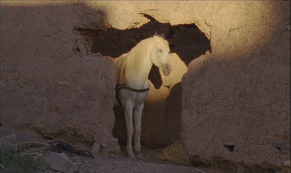 The Sky Trembles and the Earth Is Afraid and the Two Eyes Are Not Brothers（原題）の画像