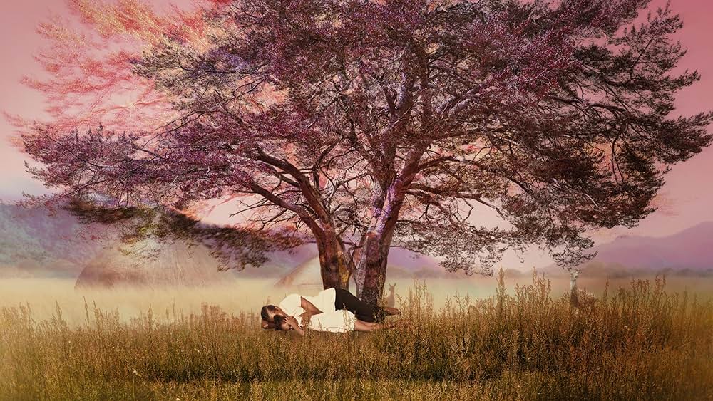 ハルツームの写真