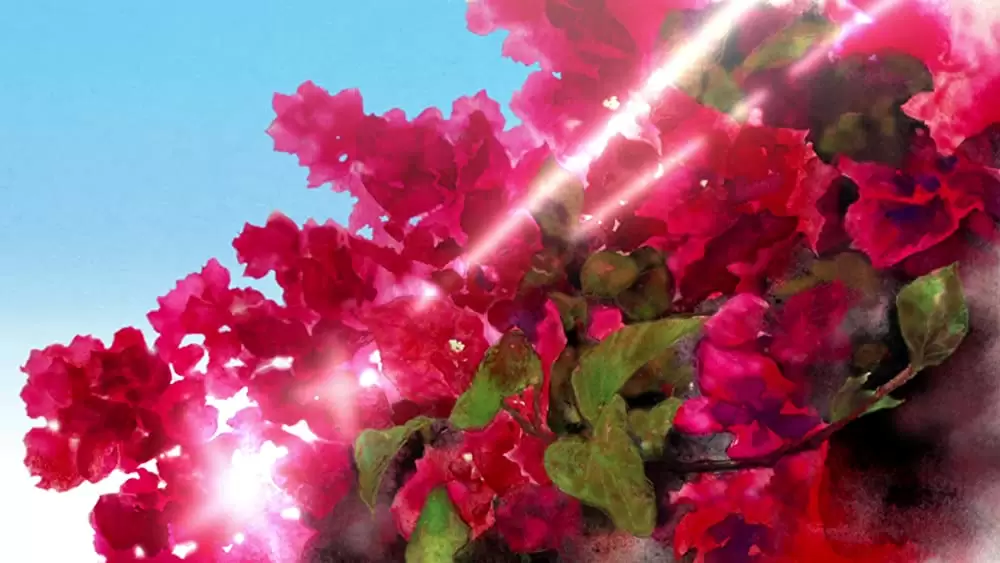 あさがおと加瀬さん。の画像