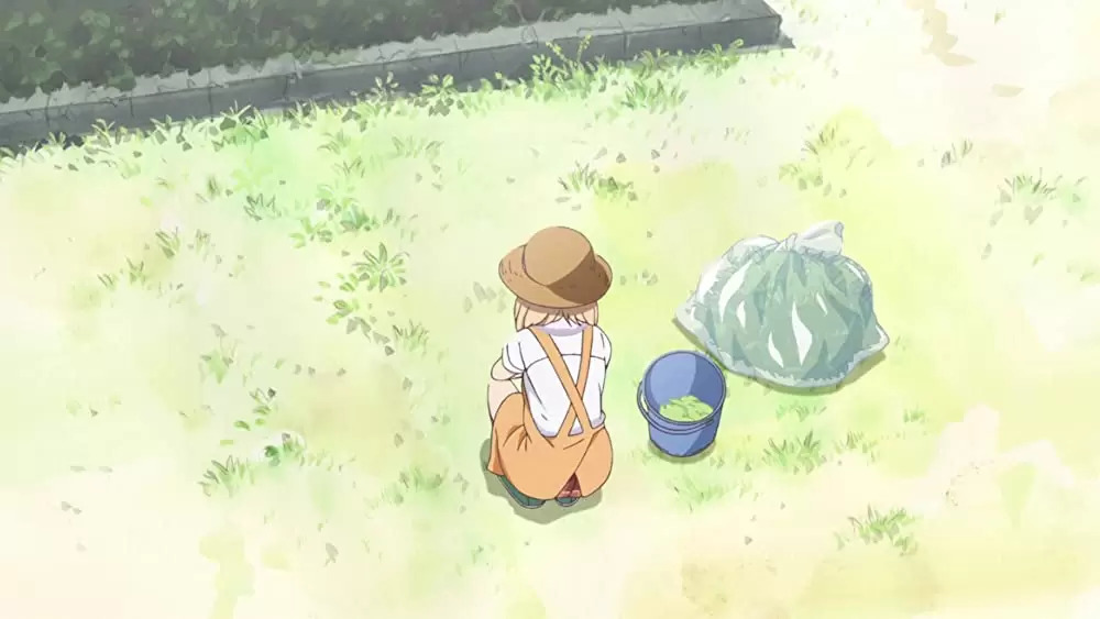 あさがおと加瀬さん。の画像