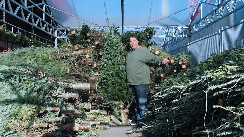 喜びの商人たち ～NYクリスマスツリー商戦～の画像