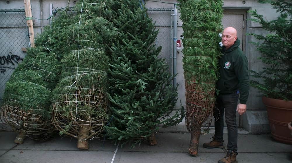 喜びの商人たち ～NYクリスマスツリー商戦～の画像