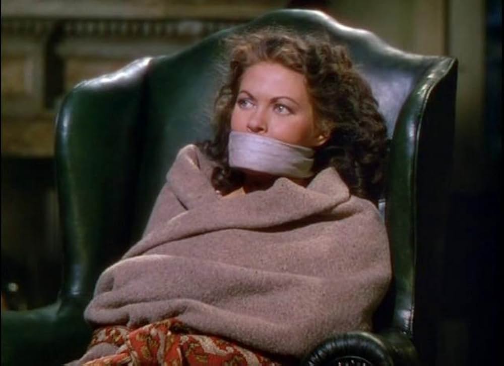 海賊船シーデビル号の冒険の画像