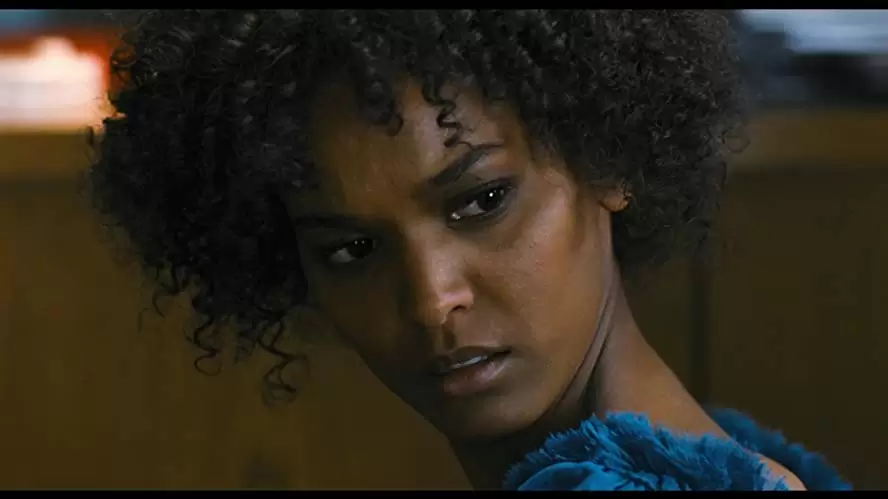 デザート・フラワーの画像