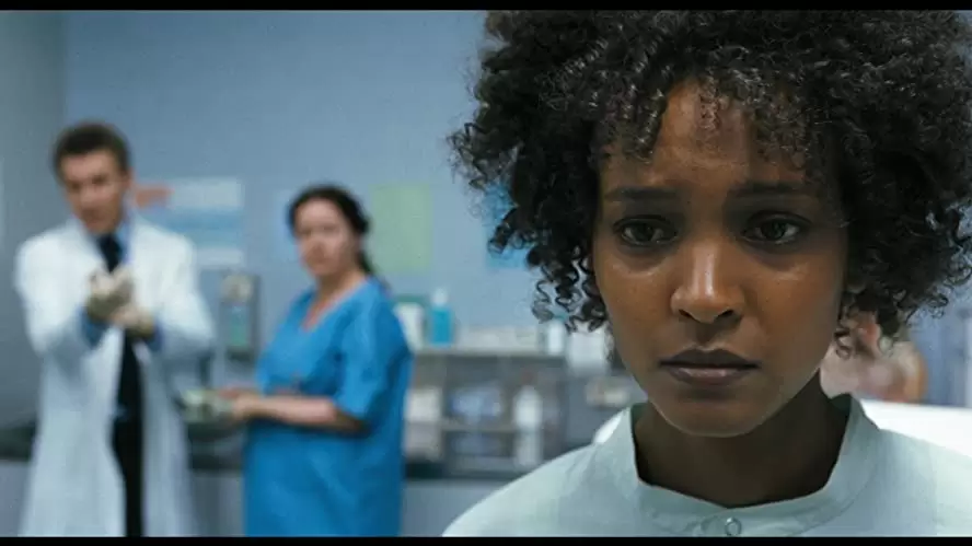 デザート・フラワーの画像