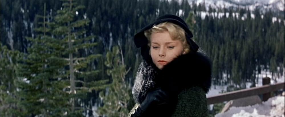 青春の旅情の画像