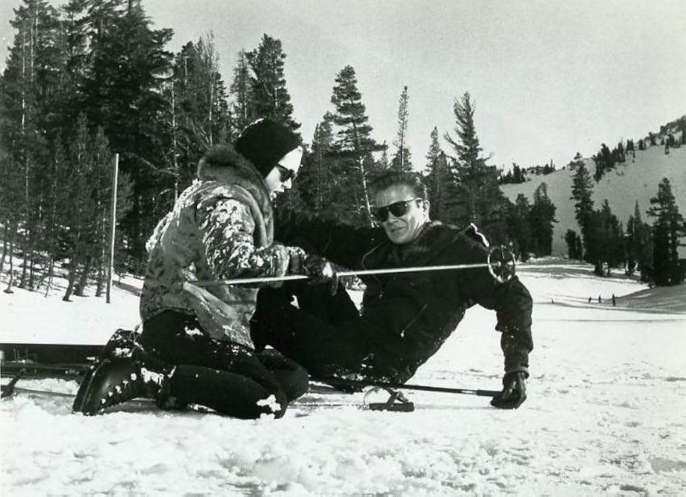 青春の旅情の画像