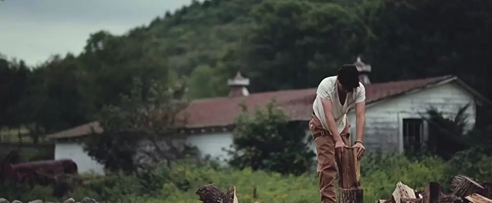 マーサ、あるいはマーシー・メイの画像