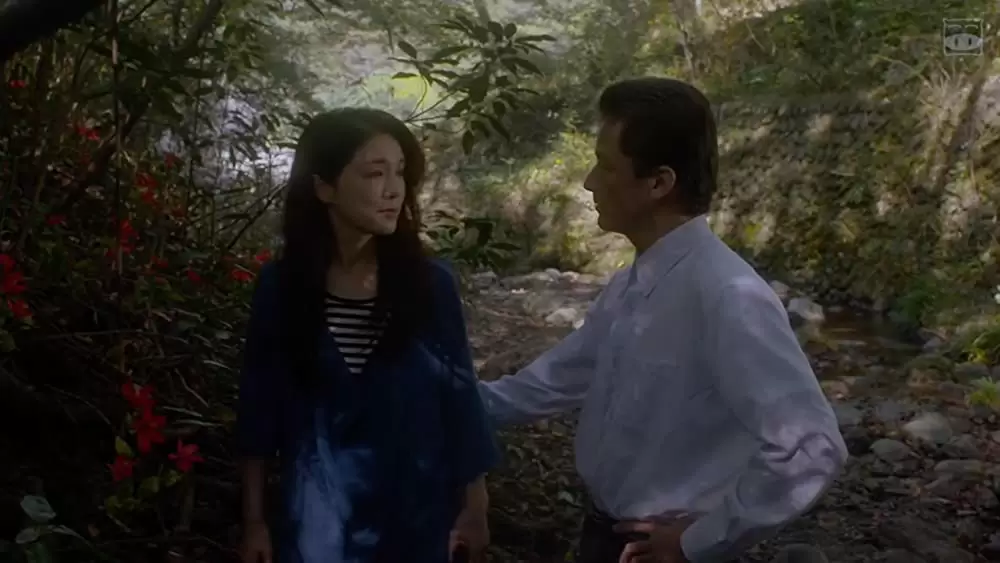 淵に立つの画像