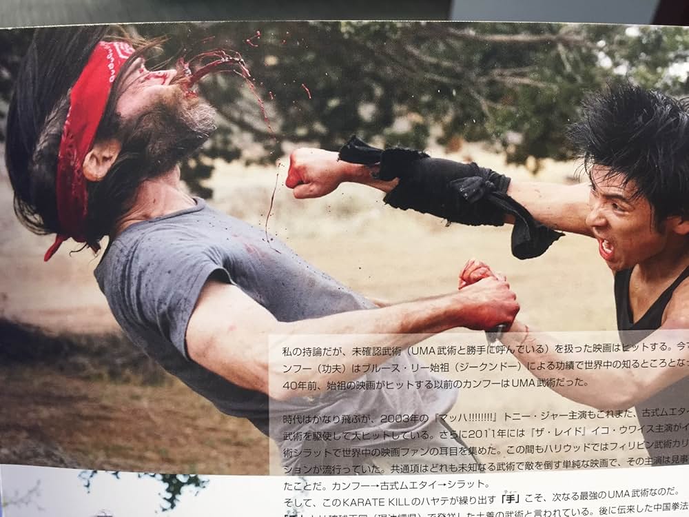 KARATE KILL／カラテ・キルの画像