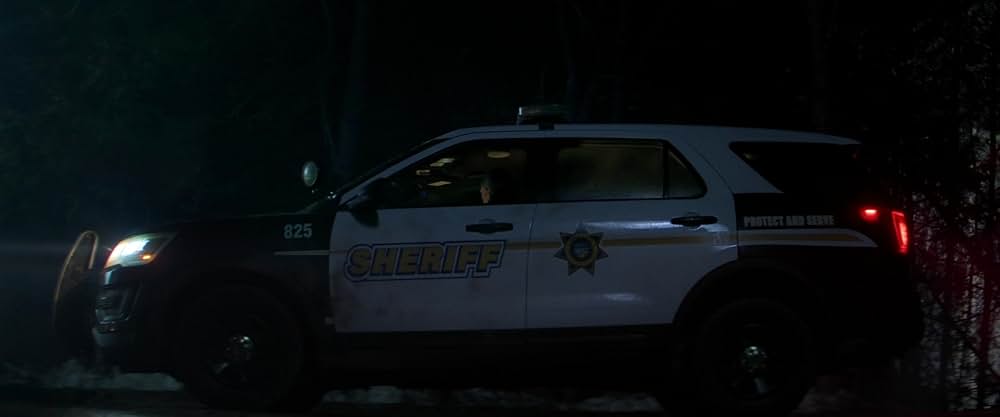 The Strangers: Chapter 3（原題）の画像