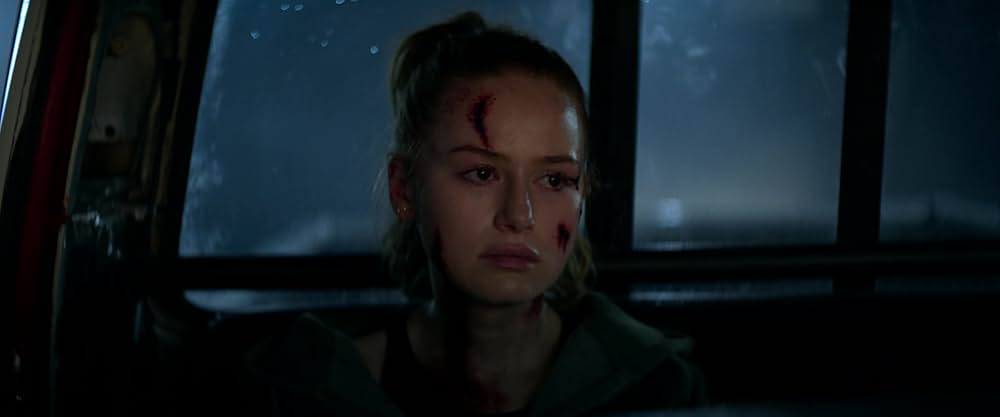 The Strangers: Chapter 3（原題）の画像