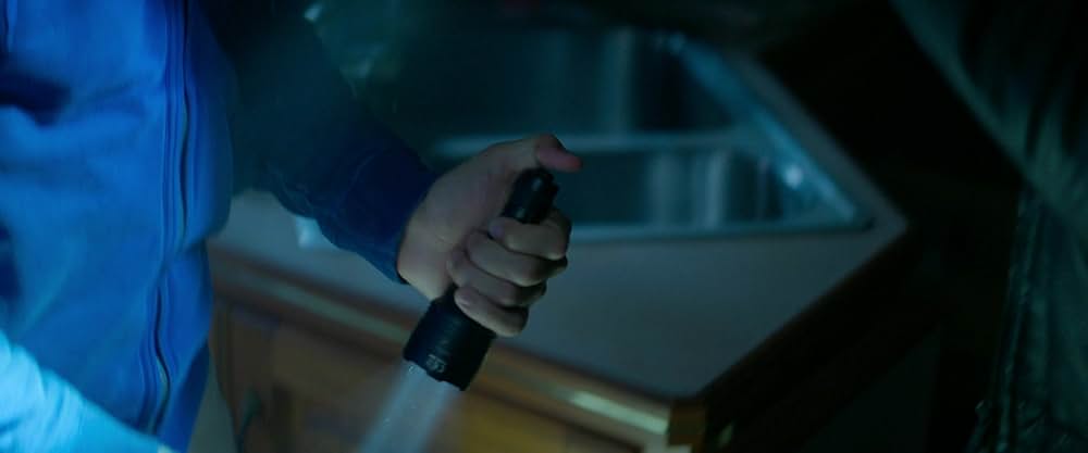 The Strangers: Chapter 3（原題）の画像