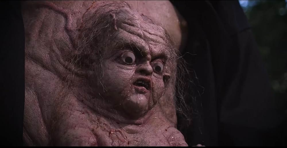 Commando Ninja 2: Invasion America（原題）の写真