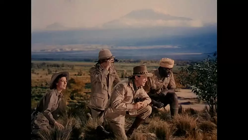 「キリマンジャロの雪」グレゴリー・ペック & エバ・ガードナー & スーザン・ヘイワード & Hildegard Knefの画像