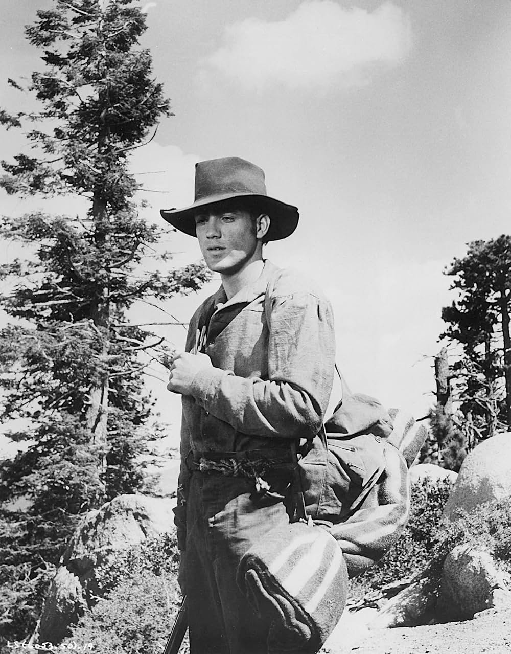 ケンタッキー少年魂の画像