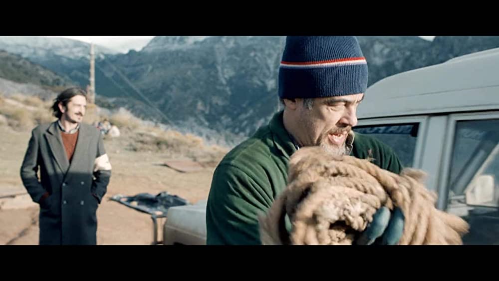 ロープ／戦場の生命線の画像