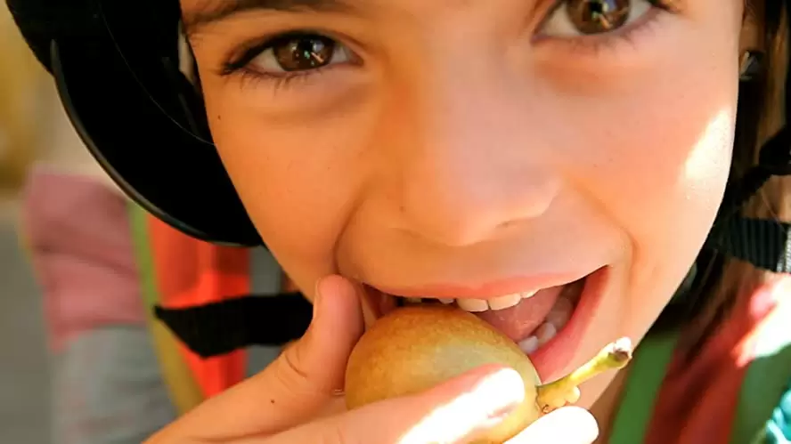 「LIFE IN A DAY 地球上のある一日の物語」の画像