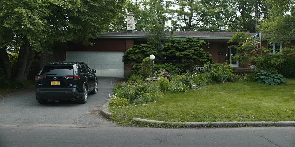 Adulthood（原題）の画像