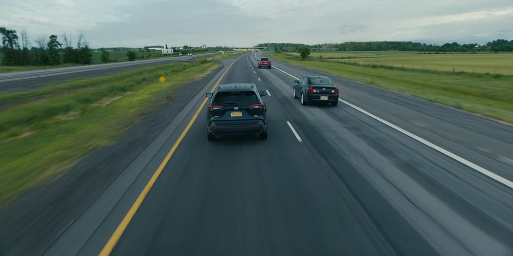 Adulthood（原題）の画像