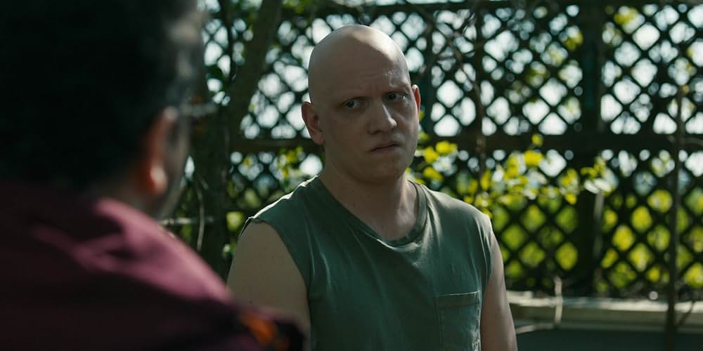 Adulthood（原題）の画像