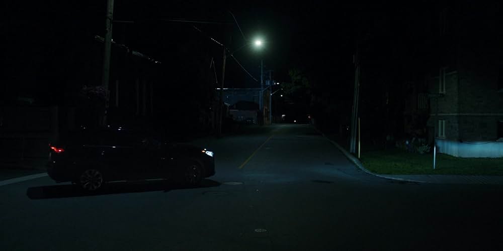 Adulthood（原題）の画像