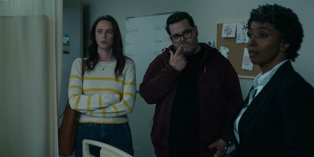 Adulthood（原題）の画像