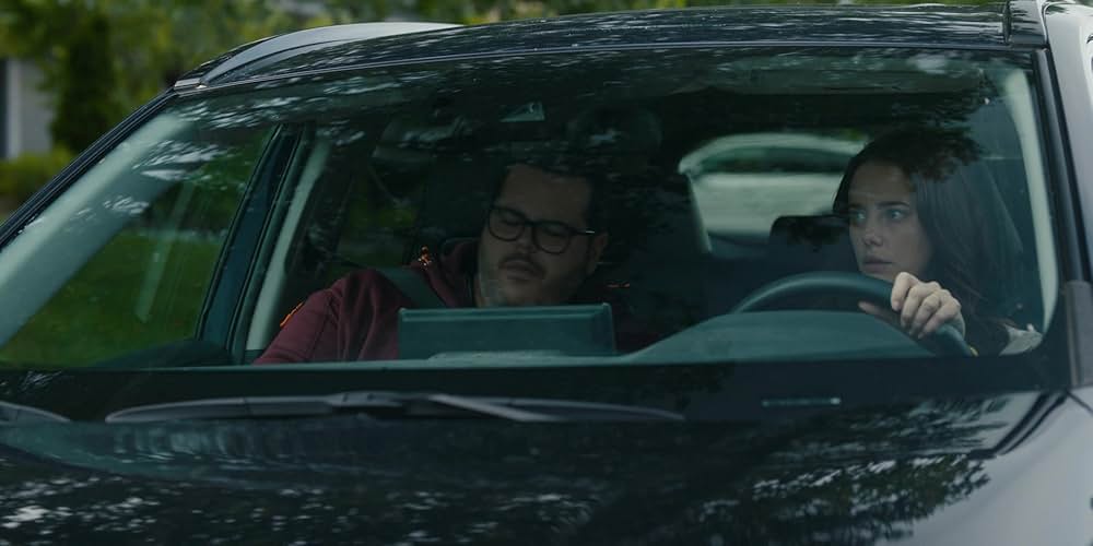 Adulthood（原題）の画像