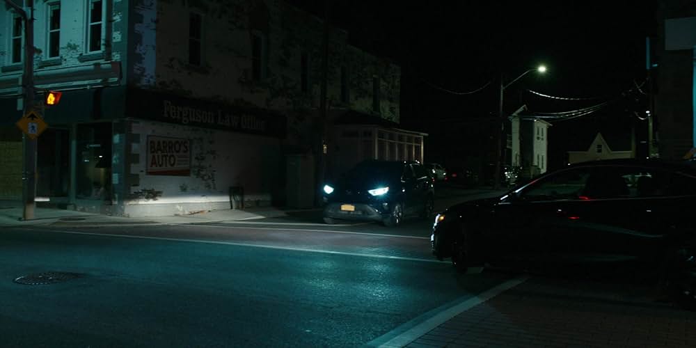 Adulthood（原題）の画像