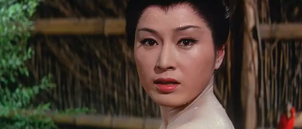 座頭市あばれ凧の画像