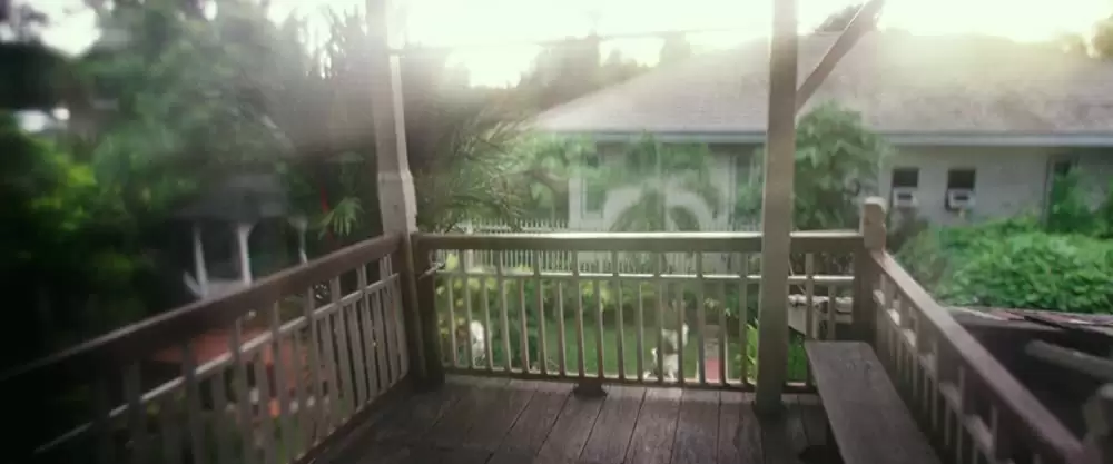 かごの中の瞳の画像