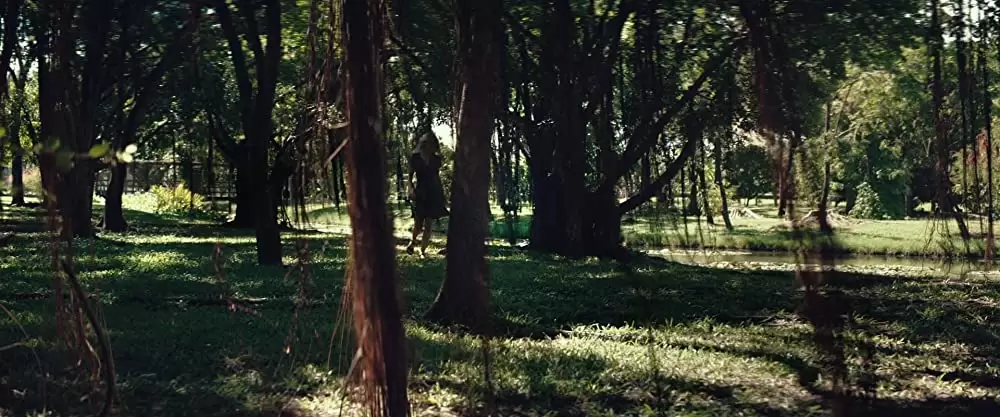 かごの中の瞳の画像