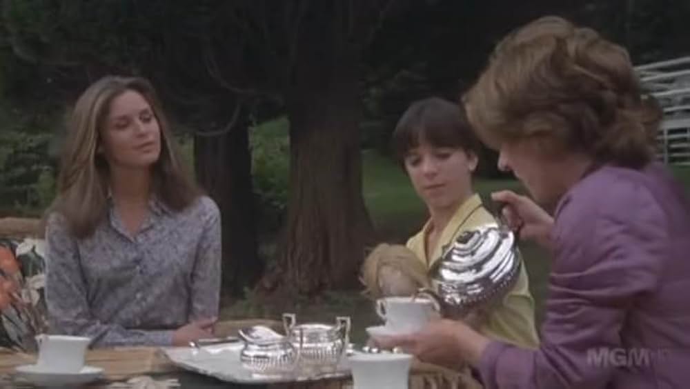 ベビーシッターの画像