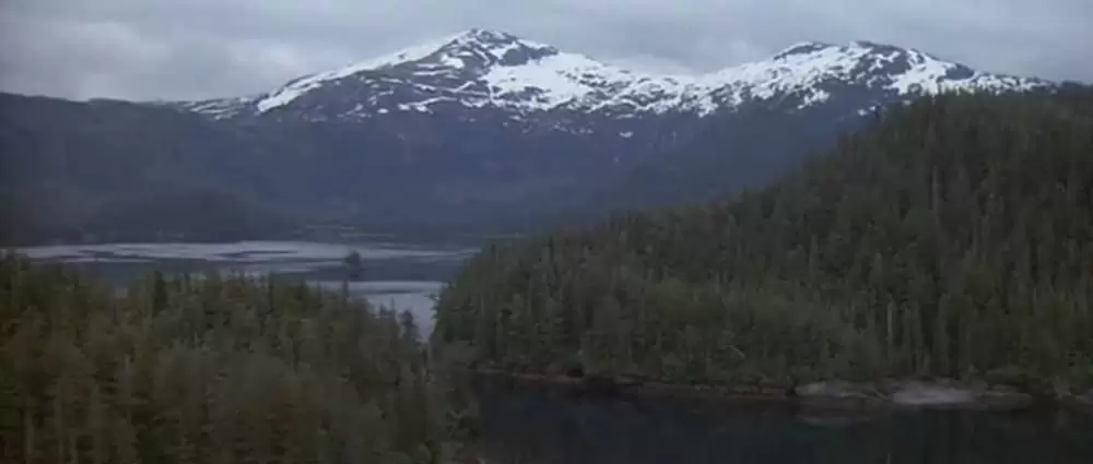 沈黙の要塞の画像