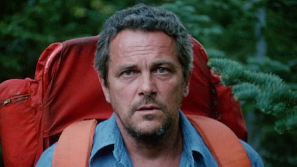 The Forest（原題）の画像