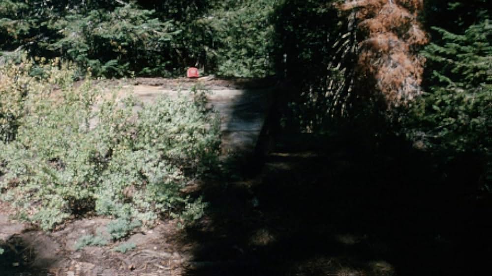 The Forest（原題）の画像