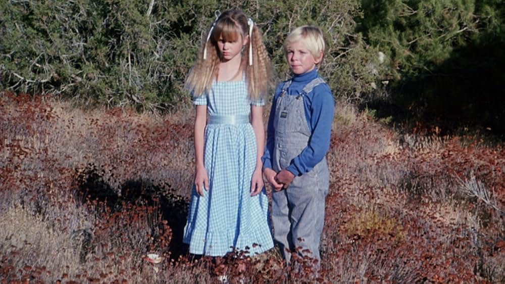 The Forest（原題）の画像