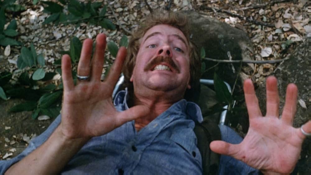 The Forest（原題）の画像