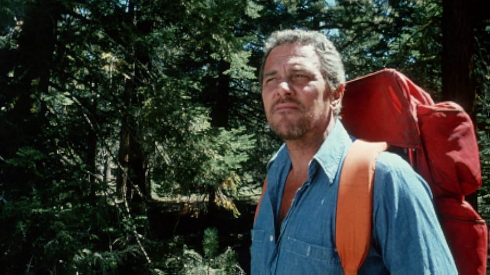 The Forest（原題）の画像