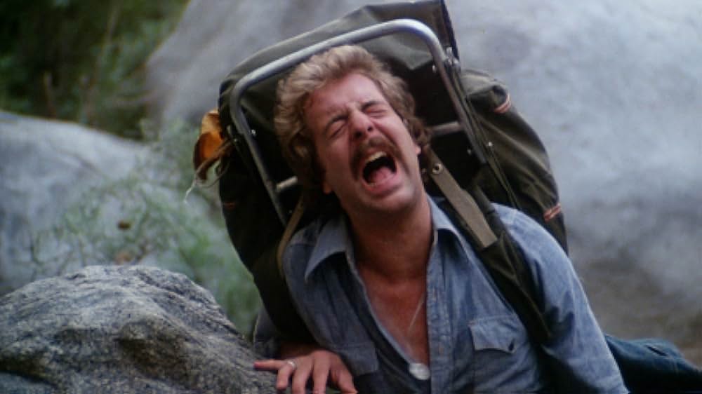 The Forest（原題）の画像