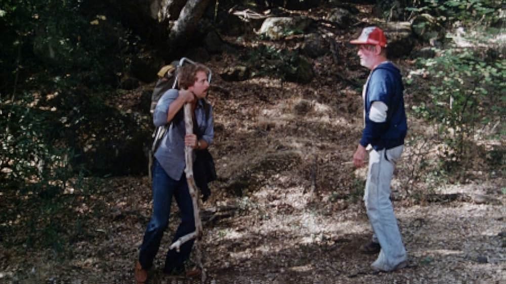 The Forest（原題）の画像