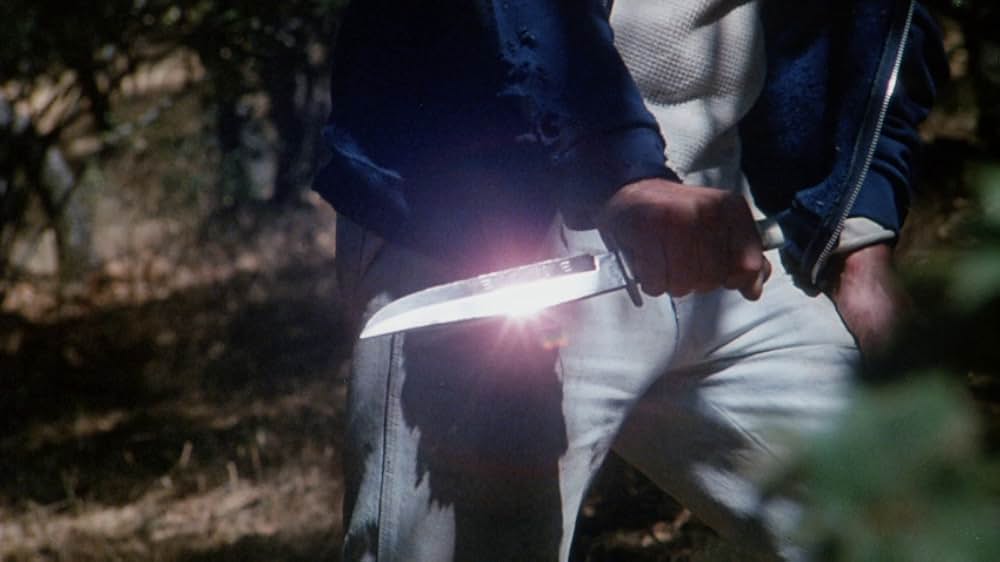 The Forest（原題）の画像