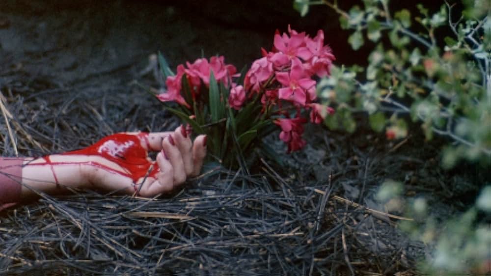 The Forest（原題）の画像