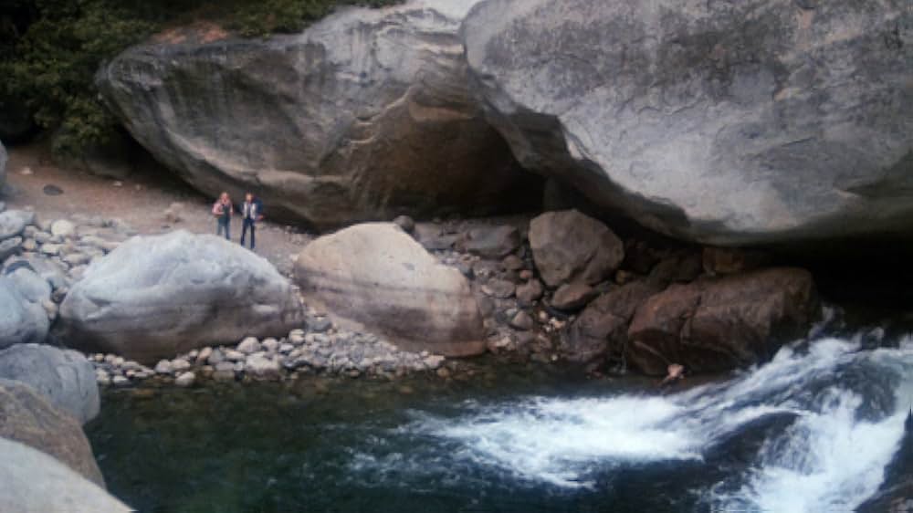 The Forest（原題）の画像