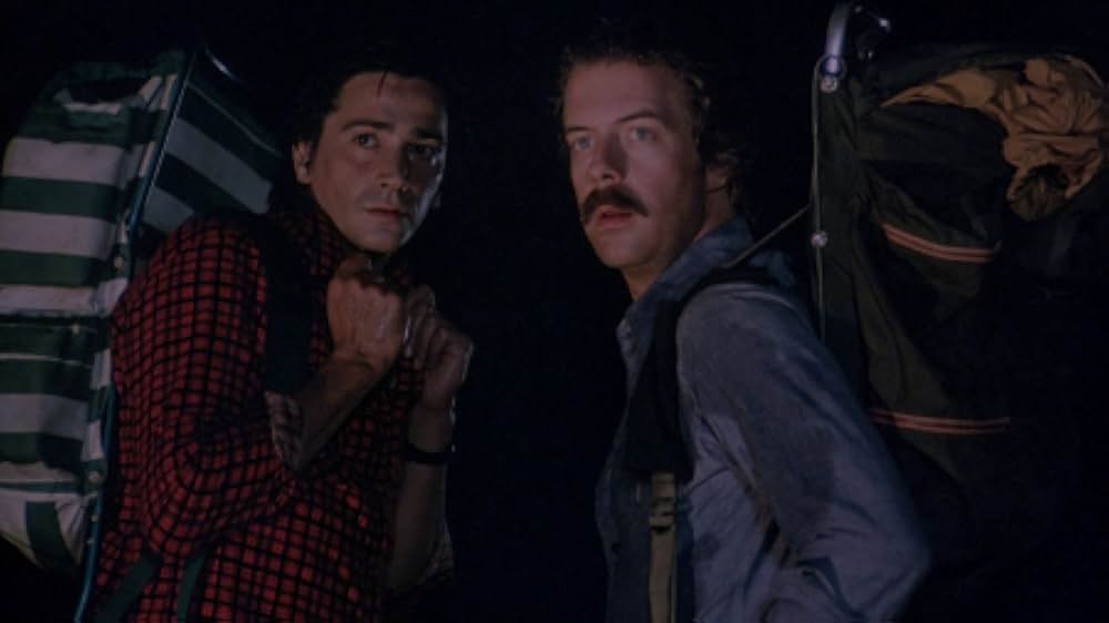 The Forest（原題）の画像