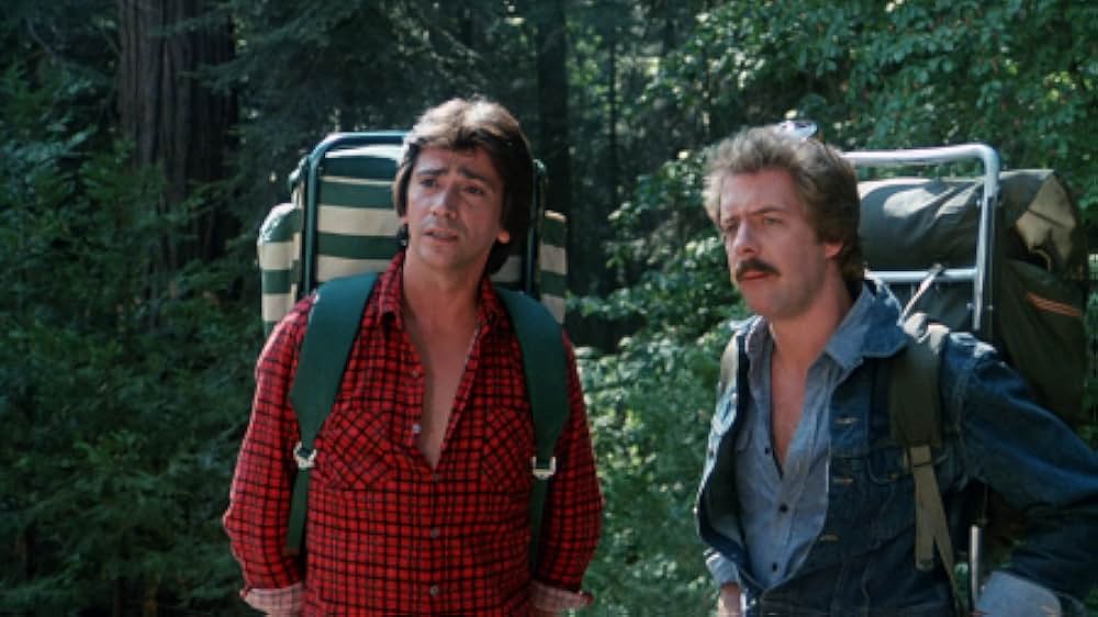 The Forest（原題）の画像