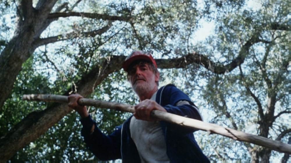 The Forest（原題）の画像