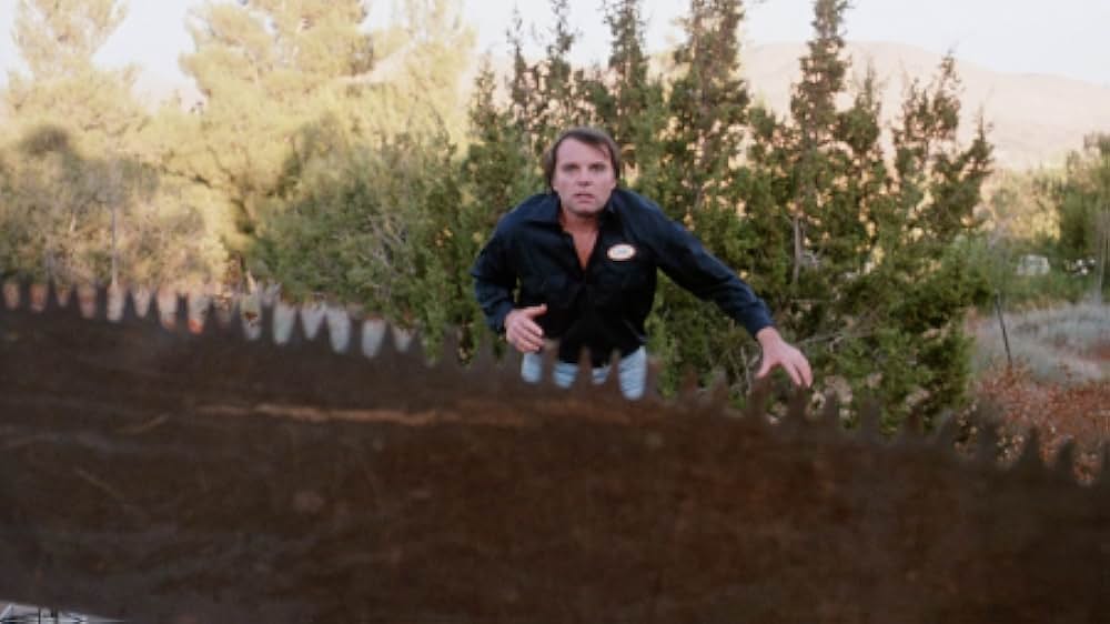 The Forest（原題）の画像